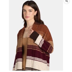 Time and Tru Women's Sweater in Earthy Stripes